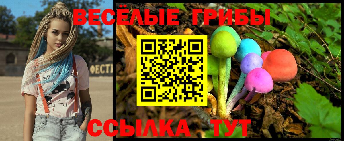 Галлюциногенные грибы MAGIC MUSHROOMS Чернушка